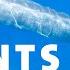 How Did Blue Whales Get So Big