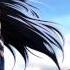 Bleach Soundscape To Ardor Extended