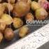 Cosmos Multi Functional Peeler Peeling Of Potato EssEmm Corporation