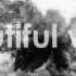 Rage Against The Machine Beautiful World LYRICS