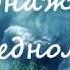 Однажды в заповедном лесу