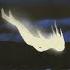 Nettspend That One Song With Deftones Entombed Sample Intro Slowed 432Hz Reverb