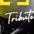 Tiesto TRIBUTE Mega Mix 2023 Best Remixes Mashups
