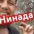 Никогда ДневникШиза Лысый Оливки Дерево Сад