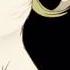 Rio Pretty Bird Anti Nightcore