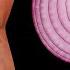 2 Natural Fixes That Erased My Varicose Veins You Won T Believe It