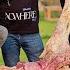 Lions Or Tigers Ko Meat Khila Dia