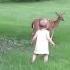 Little Girl Plays With Fawn