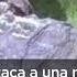 Cocodrilo Se Comió A Una Mujer Culpable O Imprudencia