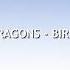 Imagine Dragons Birds Lyric Video