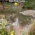 It S Just Grass Viralvideo Youtubeshorts Foryou Bass Shorts Trending Youtube Funny