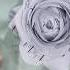 Flower Rose Craft Papercraft Paperart Flowermaking Rose Shortsvideo