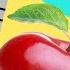 WHERE DO APPLES COME FROM Educational Video For Kids Lingokids