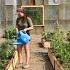 The RACE Is On To Plant Our 2025 Summer Garden