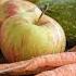 Cómo Se Producen Los Alimentos Hoy Agricultura Intensiva Transgénicos Acuicultura Y Más