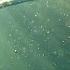 Aquatica David O Brien Chillout Music