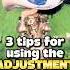 3 Tips For The ADJUSTMENT FEATURE In DTI Dresstoimpress Dti