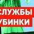 Роман Доброхотов о разоблачении отравителей Навального повоевали в Украине пошли на повышение