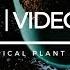 Cactus Lab Направи си сам Растителен терариум с тропически растения