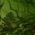 Terraria Plantera Boss Theme