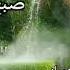 کلیپ صبح بخیر زیبا به همراه موسیقی بیکلام از علی نعمتی