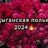 цыганская полька 2024 ваня дэхэнко