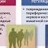 Вебинар Ведение пациента перенесшего инсульт на дому