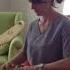 Ode2Joy Challenge Daina With A Kokle Latvian Folk Instrument