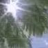 Julia Michaels Apple Slowed