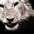 MACAN Kiliana Спокойной ночи минус инструментал