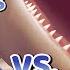 SHARK DOLPHIN VS KILLER WHALE We Died Lol Wildcraft Ocean World