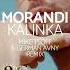 Morandi Kalinka Mike Tsoff German Avny Official Remix