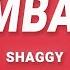 Shaggy Mr Boombastic Lyrics