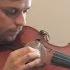 FIDGET SPINNER Violinist Plays FIRST Original Song For