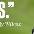 The Remarkable Comeback Of Willy Wilcox