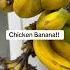 Chicken Banana Remix Pamilyakamelya Hawaiiliving Chickenbanana Housemusic Fyp
