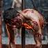 The Martyrdom Of William Tyndale The Man Who Translated The Bible Bible Churchhistory History