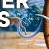 The Catastrophic Flood That Triggered An Ice Age Ft PBS Eons