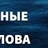 Самые важные чешские слова и фразы по темам для начинающих Учим чешский язык на автопилоте