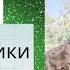 Является ли ВСЯКАЯ ВЛАСТЬ президенты политики диктаторы и тирани ПОКОЗАННИКАМИ БОЖЬИМИ