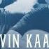 Kevin Kaarl Colapso En Vivo Desde El Sofá