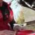 Ducati Multistrada 1200 V KTM SMT V BMW GS V Tiger 1050