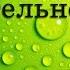 Типы нервной деятельности