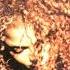 Janet Jackson Together Again Slowed Reverb