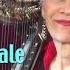 One Song The Nightingale Open Your Creativity For All Songs Through One Song