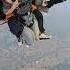 Come Fly With Me Fludy Skydive Skydiving