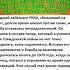 Младший лейтенант РККА пошёл воевать против своих вов история армия интересныефакты