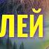 ВОДОЛЕЙ НЕ НОВАЯ ГЛАВА ЖИЗНИ НО СЛЕДУЮЩИЙ ЕЕ ЭТАП Прогноз на ИЮНЬ 2025