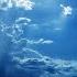 Beethoven Moonlight Sonata W Nature Sound 8 HOURS Spooky Sleep Music Classical Music