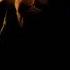Batman Begins Vespertilio Hans Zimmer James Newton Howard 1